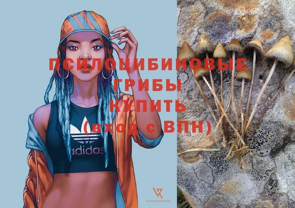 мяу мяу мука Приозерск