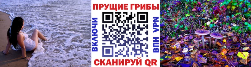 Псилоцибиновые грибы GOLDEN TEACHER  Купить где  Курчатов 
